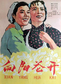 偷拍视频网